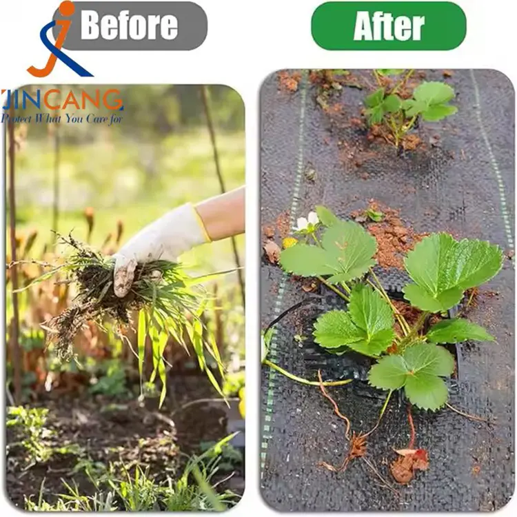 PP kudottu rikkakasvimato