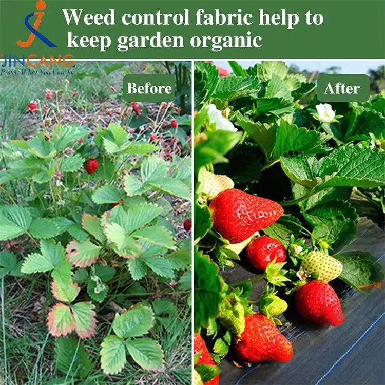 Rikkakasvien ohjauskangasmatto