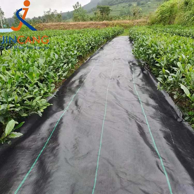 Rikkakasvien ohjauskangasmatto