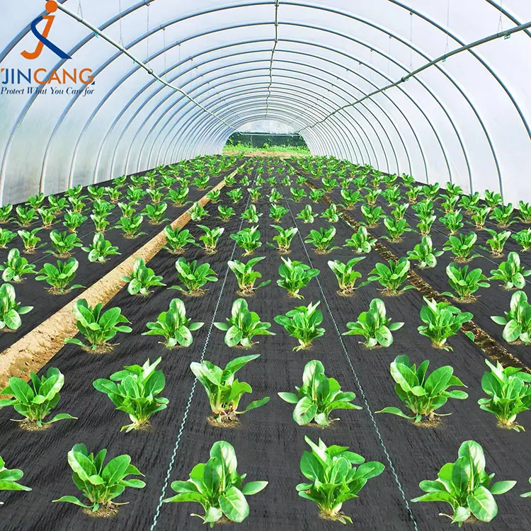 Rikkakasvien ohjauskangasmatto